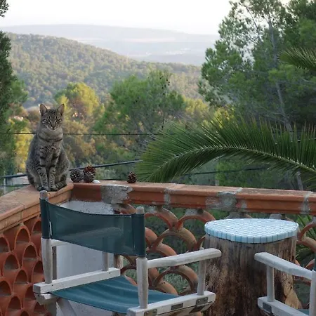 Mountain With Pool Villa Puigpunyent (Mallorca)